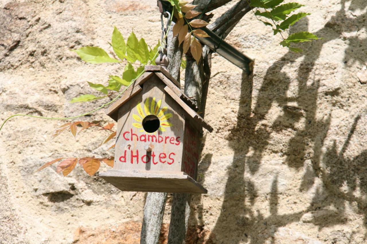 Domaine Les Teuilleres Bed & Breakfast Lacam-dʼOurcet Екстериор снимка