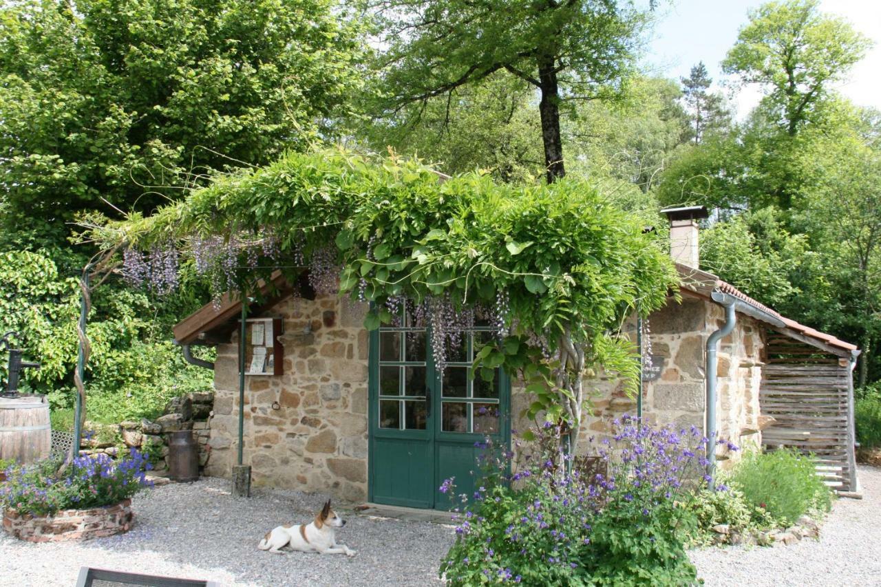 Domaine Les Teuilleres Bed & Breakfast Lacam-dʼOurcet Екстериор снимка